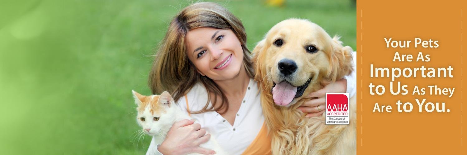 Healthy_Animals's profile banner image