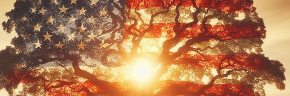 Paul 🔱 🇺🇸 banner