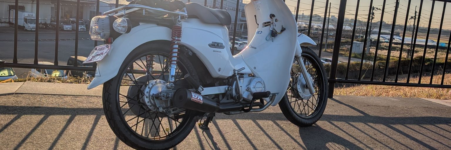 lizard1115r's profile banner image
