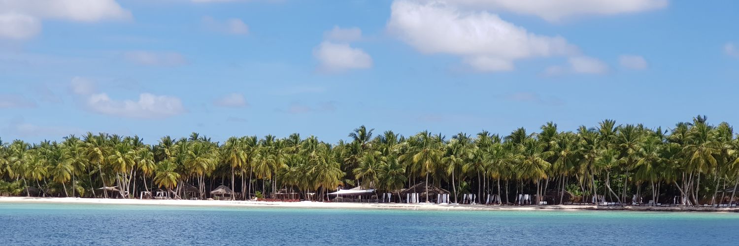 Stein Monteiro banner