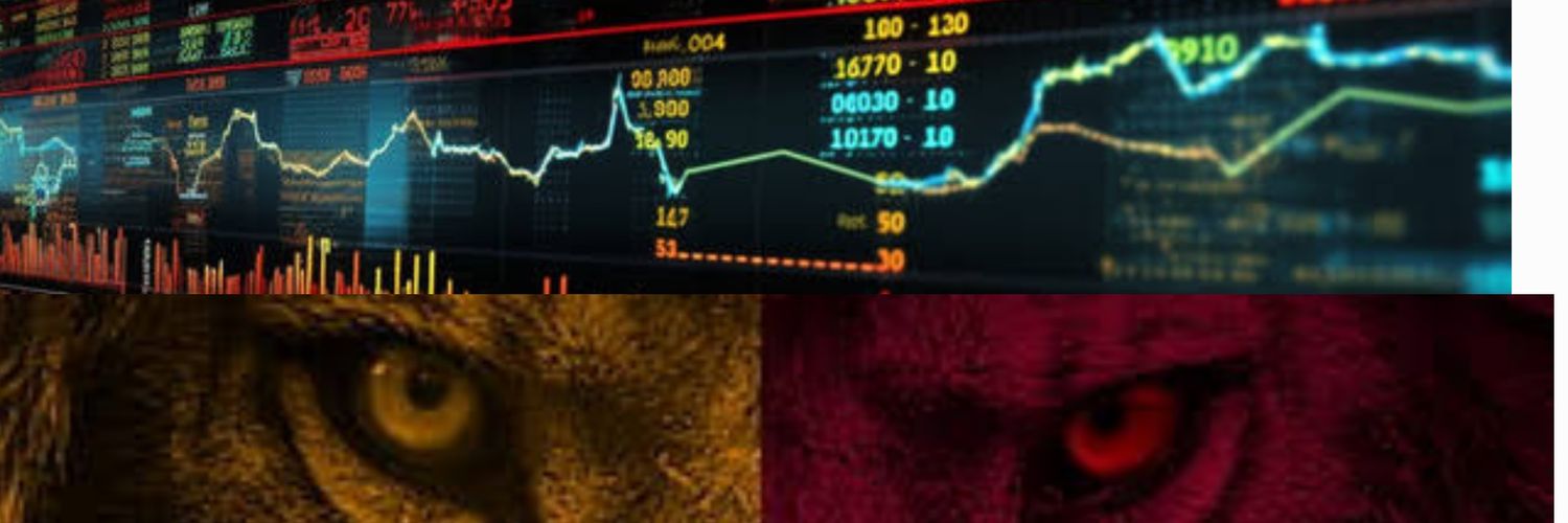 Bora Çulha banner