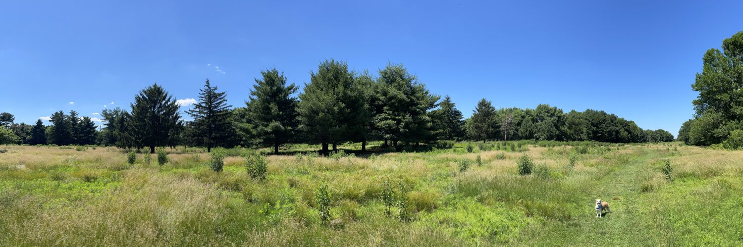 Emmy 🇺🇸 banner