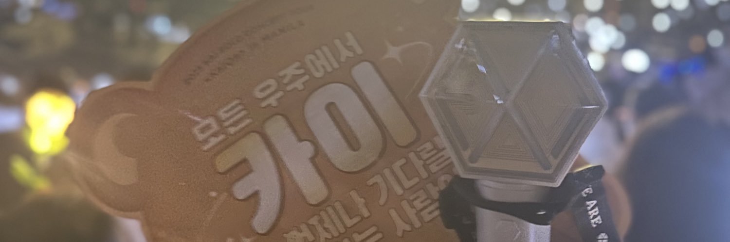 -KIM KANGKONG *MERCH BAN* banner