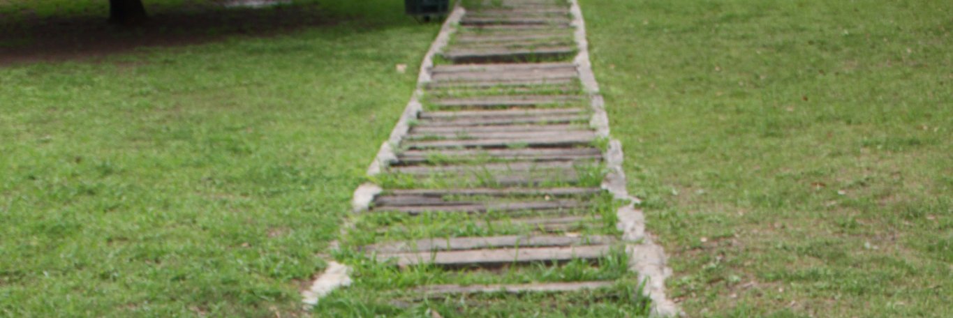 adrianafloress's profile banner image