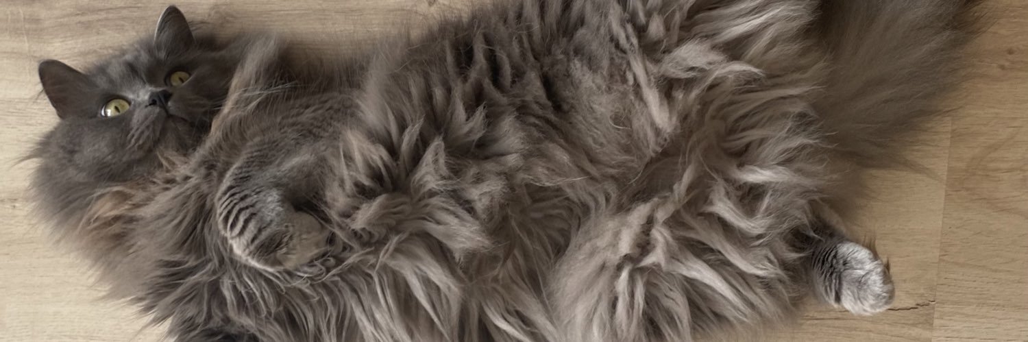 artemisiabsint's profile banner image