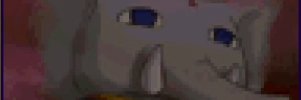 BusterBeachside's profile banner image