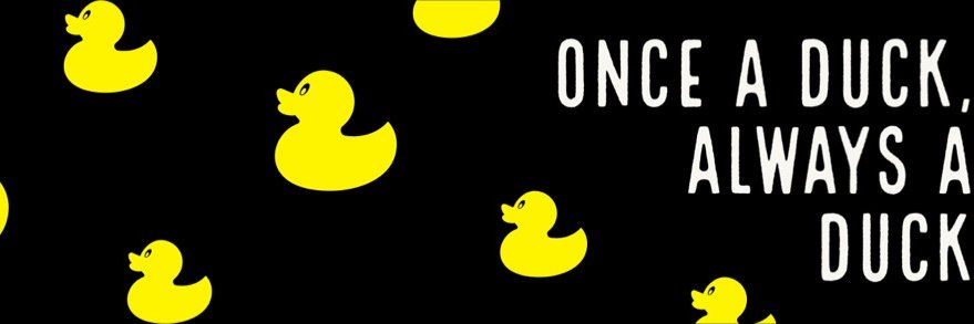 UOSAA's profile banner image