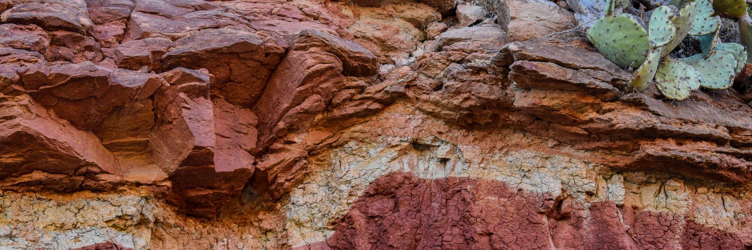 Madi 🦈🎓 banner