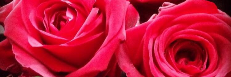netaa2811's profile banner image