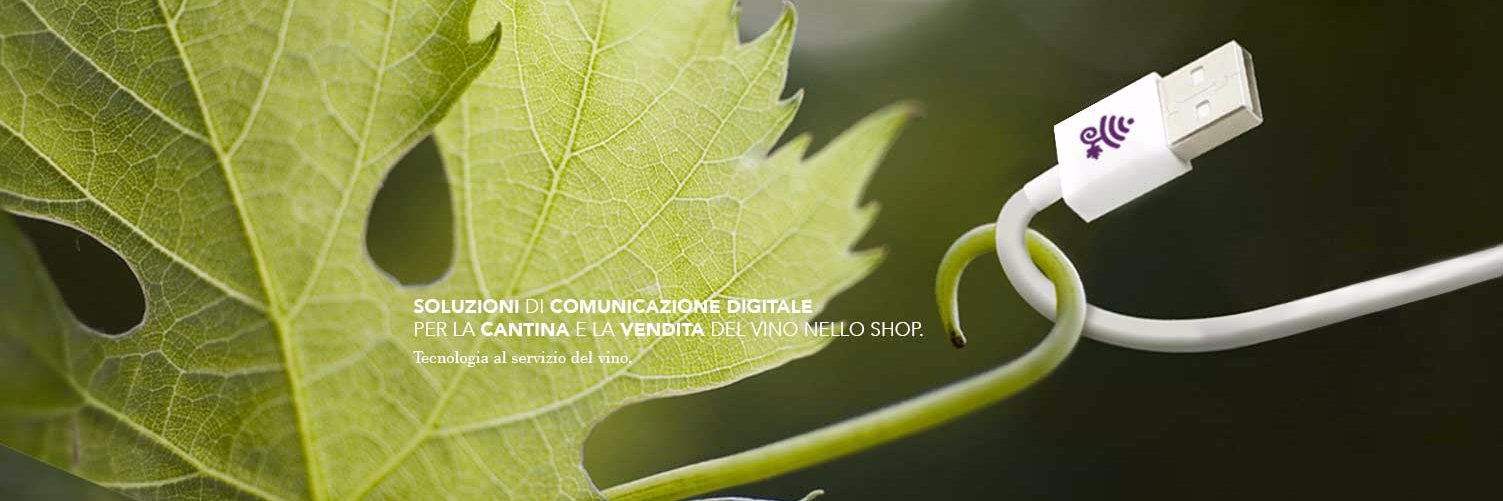 Wine_System's profile banner image