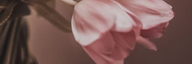 _dns22's profile banner image