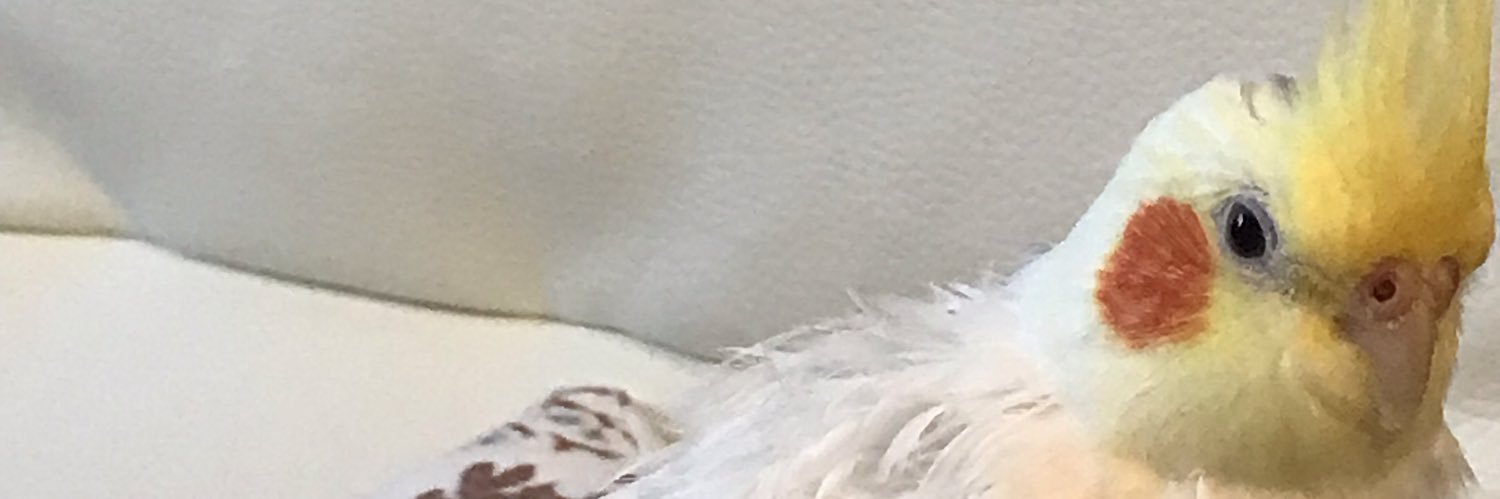 YK425625's profile banner image