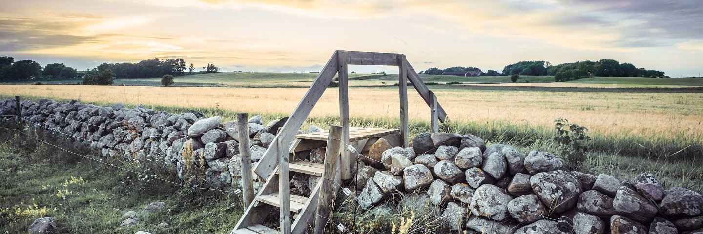 Lee Dodd banner