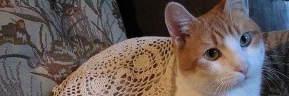 McCabeRadio's profile banner image