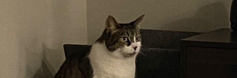 Gap Daddy banner
