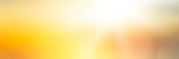 mikikopcek's profile banner image