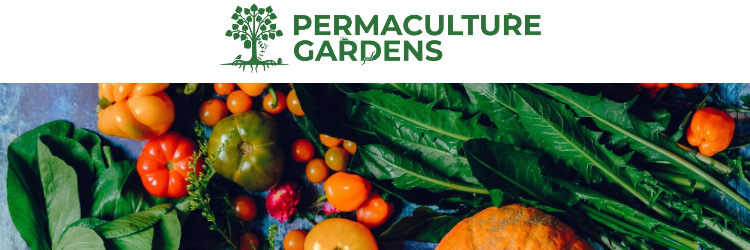PermacultureG's profile banner image