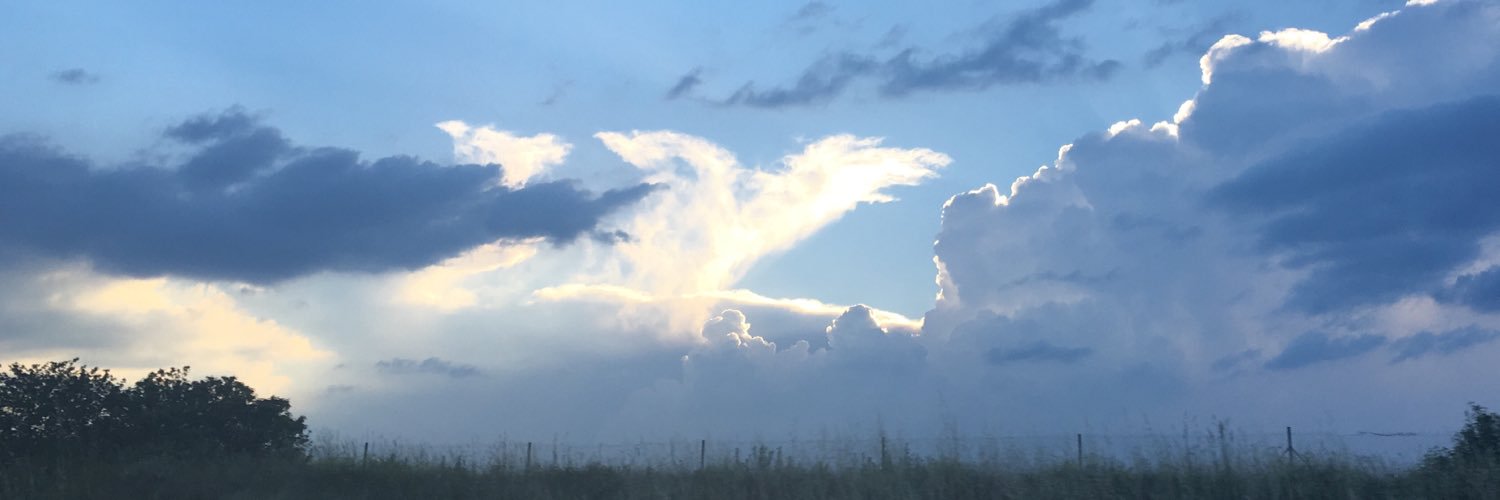 MAelle_1973's profile banner image