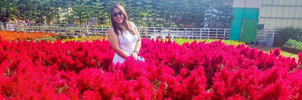 leisnarcotics Profile Banner