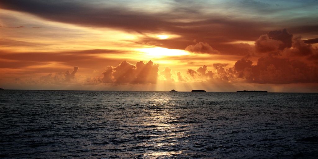 BujanGGede's profile banner image
