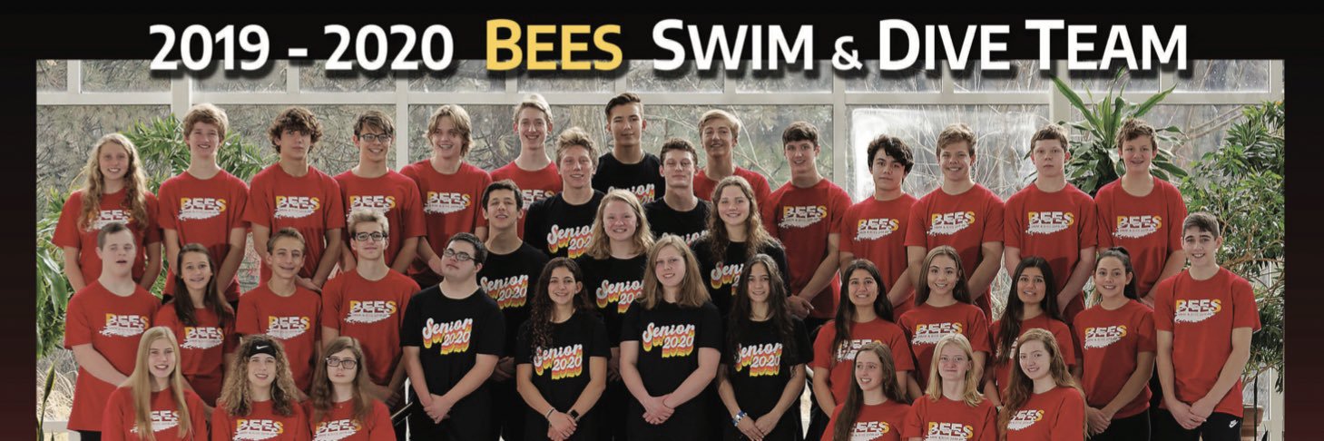 bbhswimmingbees's profile banner image
