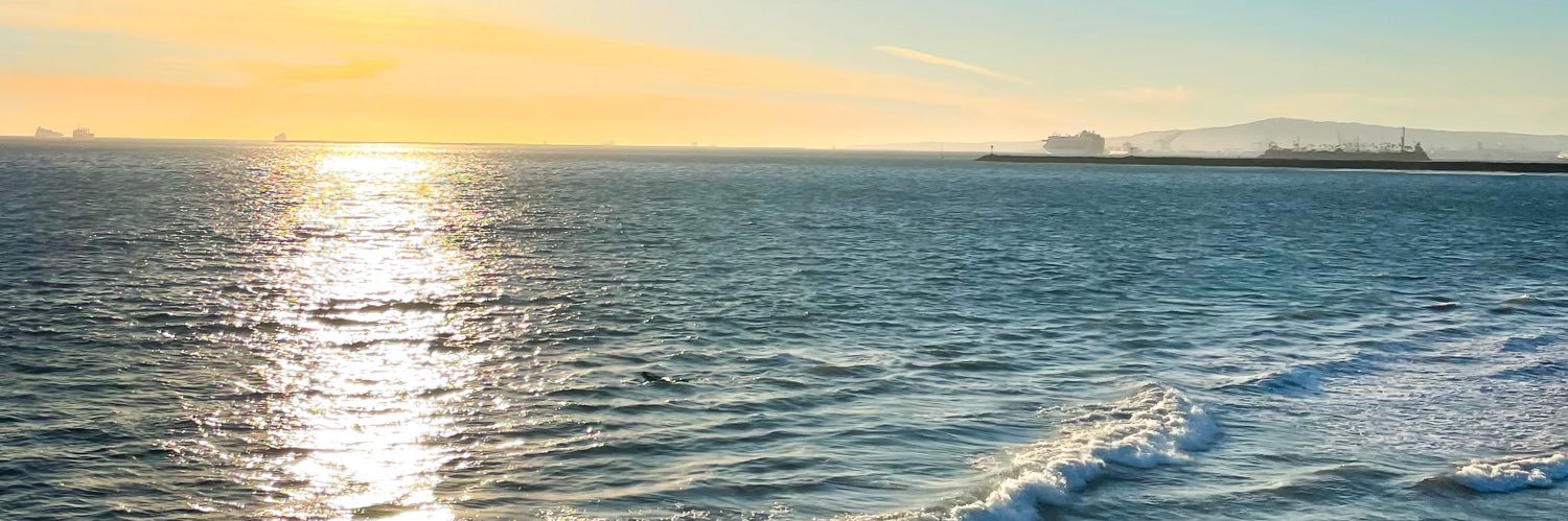 Cheyenne Spade banner