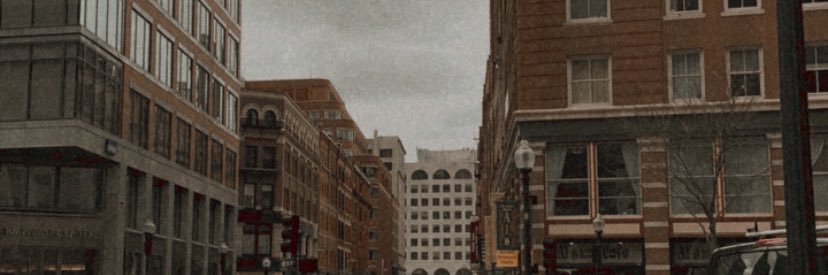 aolanirenee's profile banner image