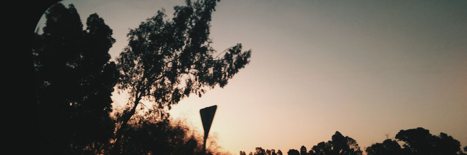 mariarguez14's profile banner image