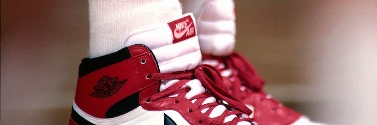 lichiberdini6's profile banner image