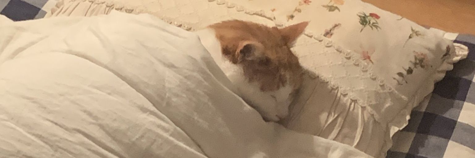 kanadaham's profile banner image