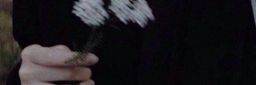 LycheeTea🍃 banner