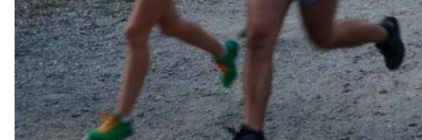 ShellyRuns Profile Banner