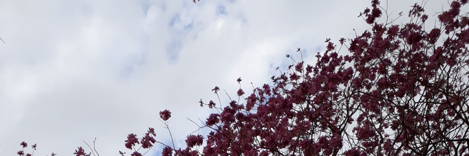Minniegimenez's profile banner image