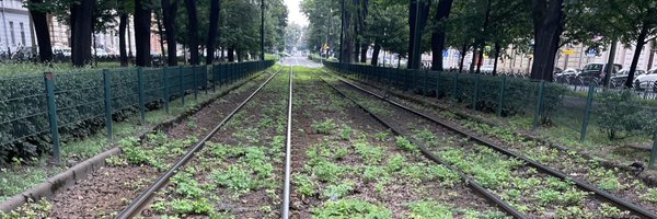 frandomenech Profile Banner