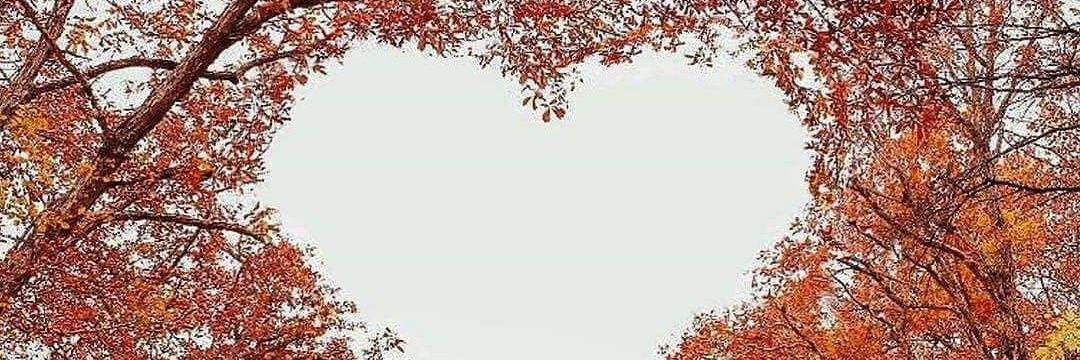 Jâmâl banner