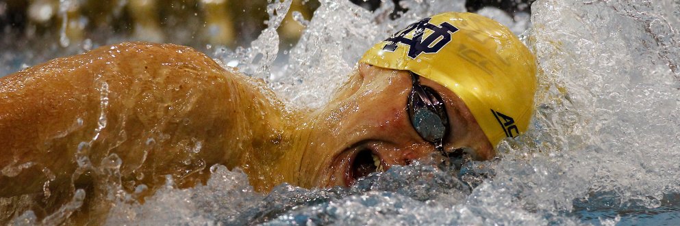 NDMensswimdive's profile banner image