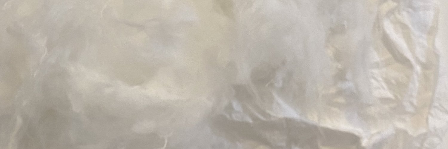 Liberta_L's profile banner image
