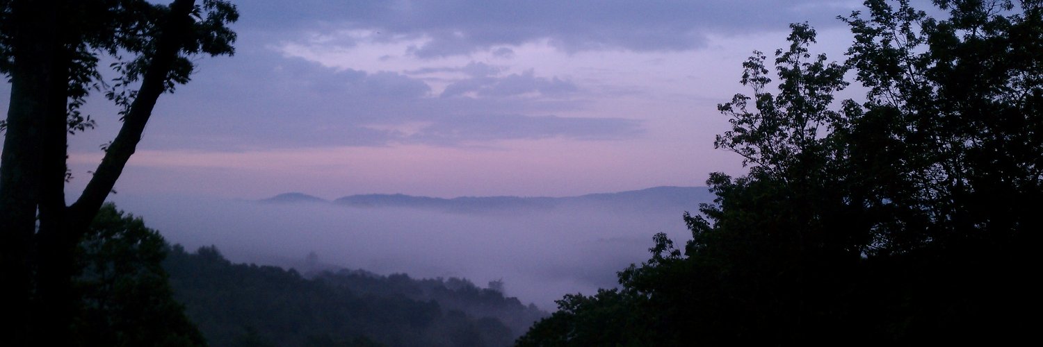 Annette Montgomery banner