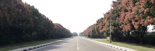 PAU_LDH Profile Banner