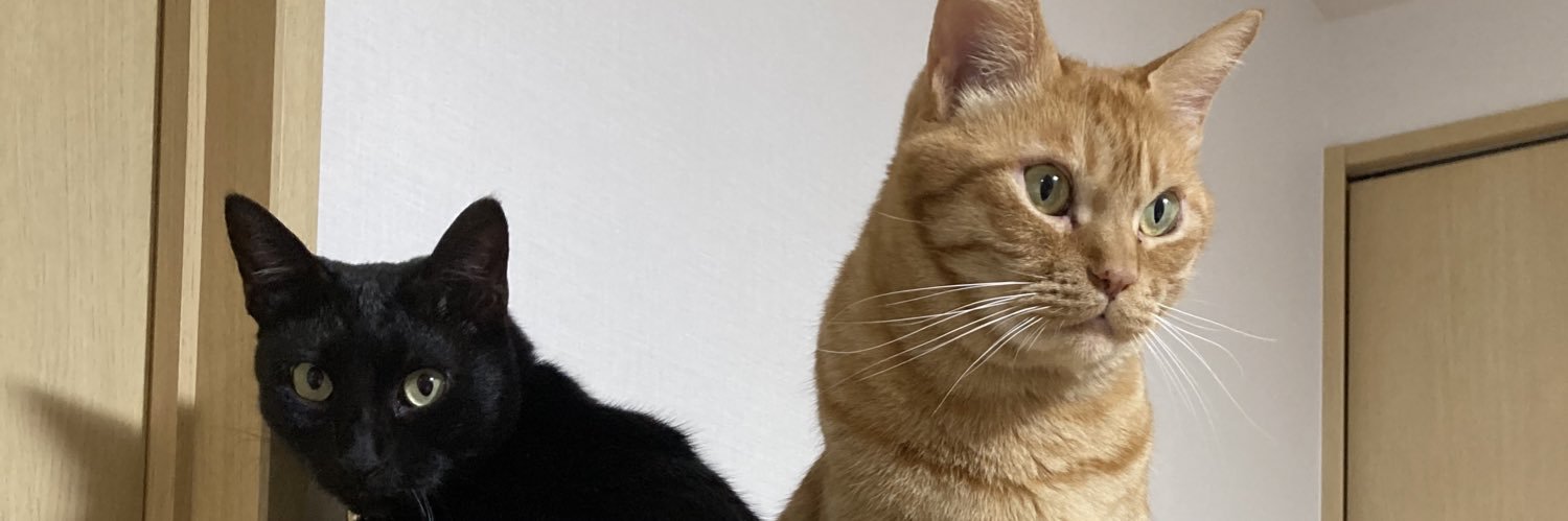 chioooosen's profile banner image