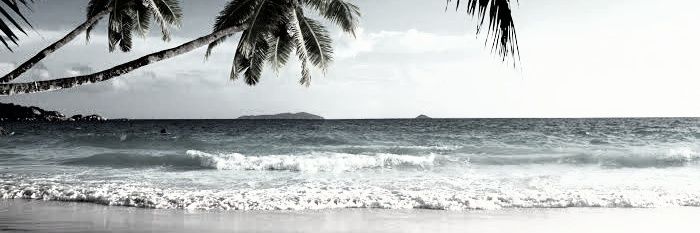 ĹΛ ƒℓΛᶤя banner