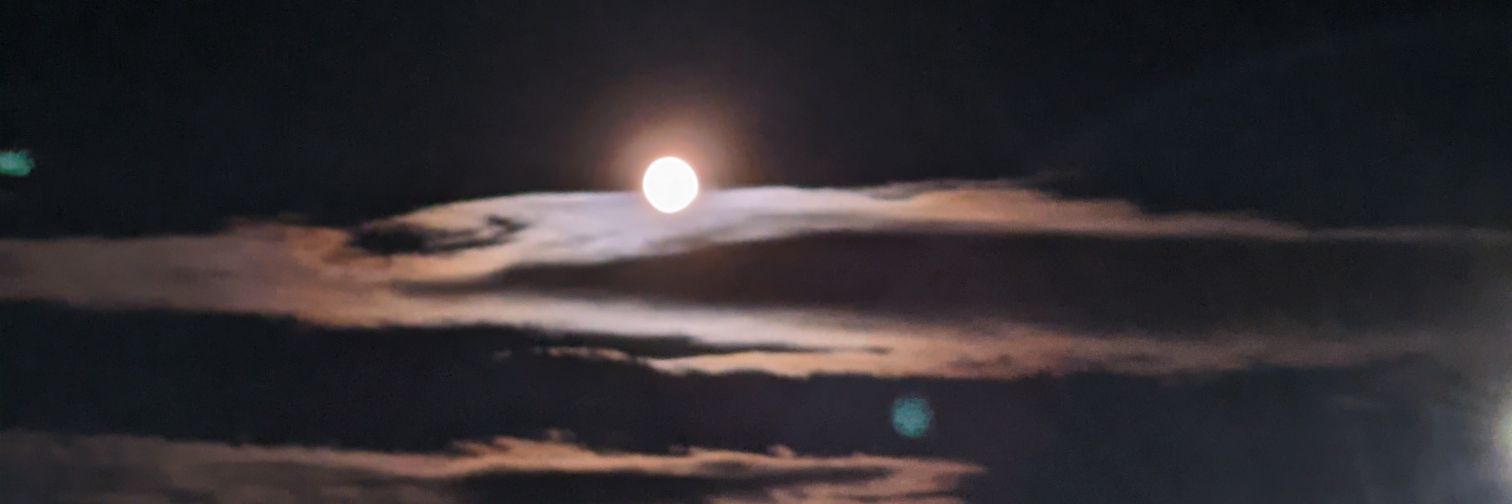 SissaSwed's profile banner image