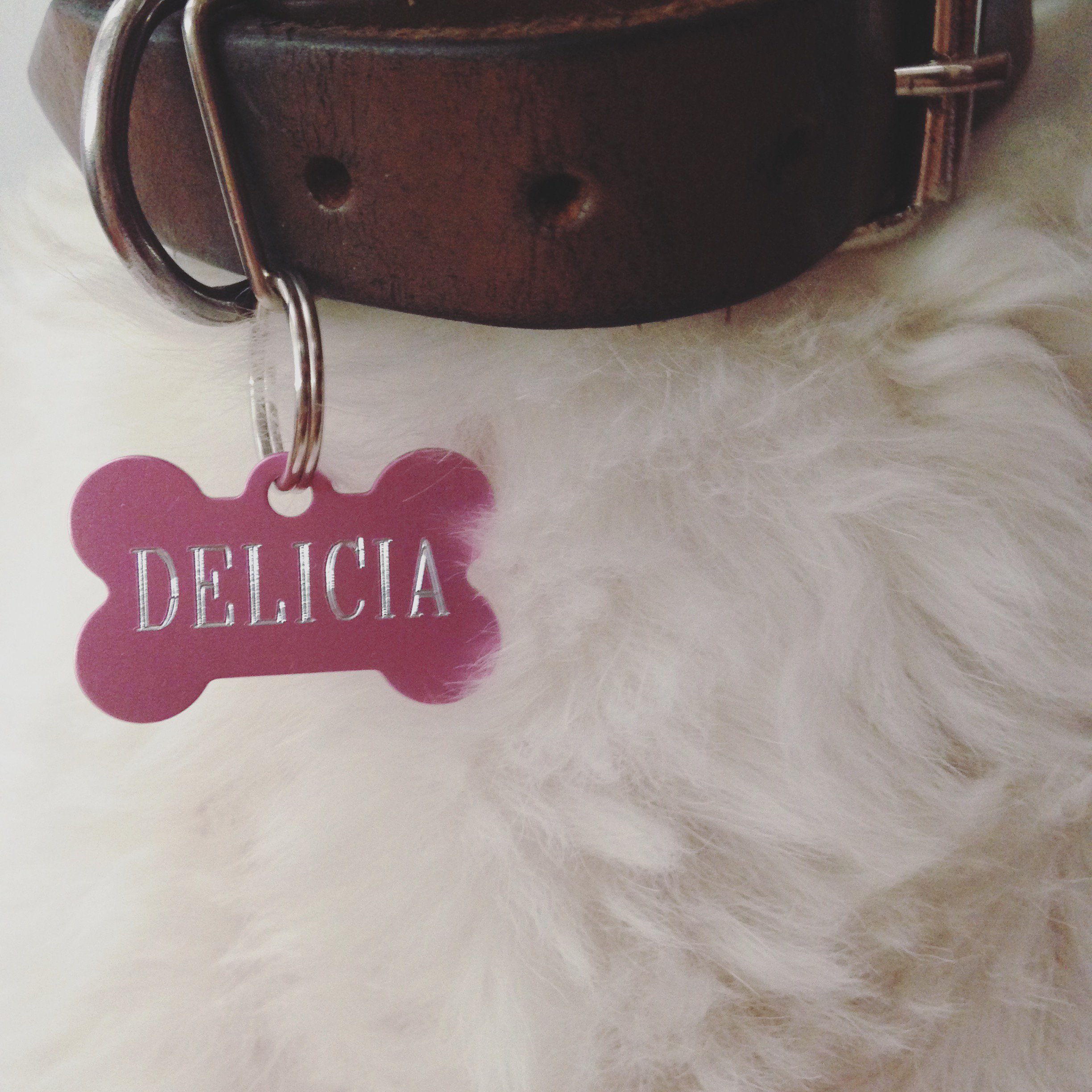 PeppermintMaryy's profile banner image