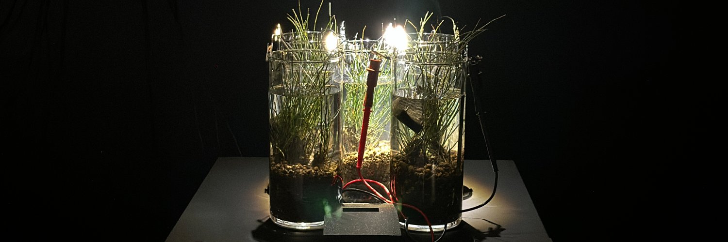 ドリタ TAKIDO Dorita banner