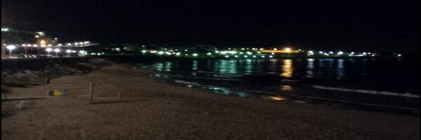 Eickot Profile Banner