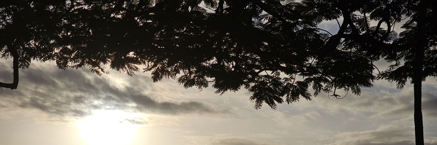 metamorphosisfj's profile banner image