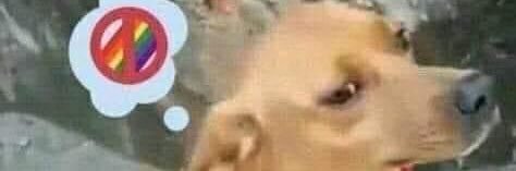 𝕆𝕟𝕠𝕗𝕣𝕖 👾 banner