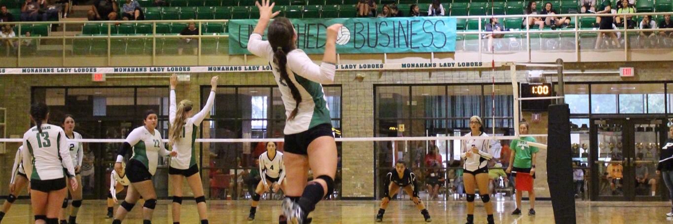LoboVolleyball's profile banner image