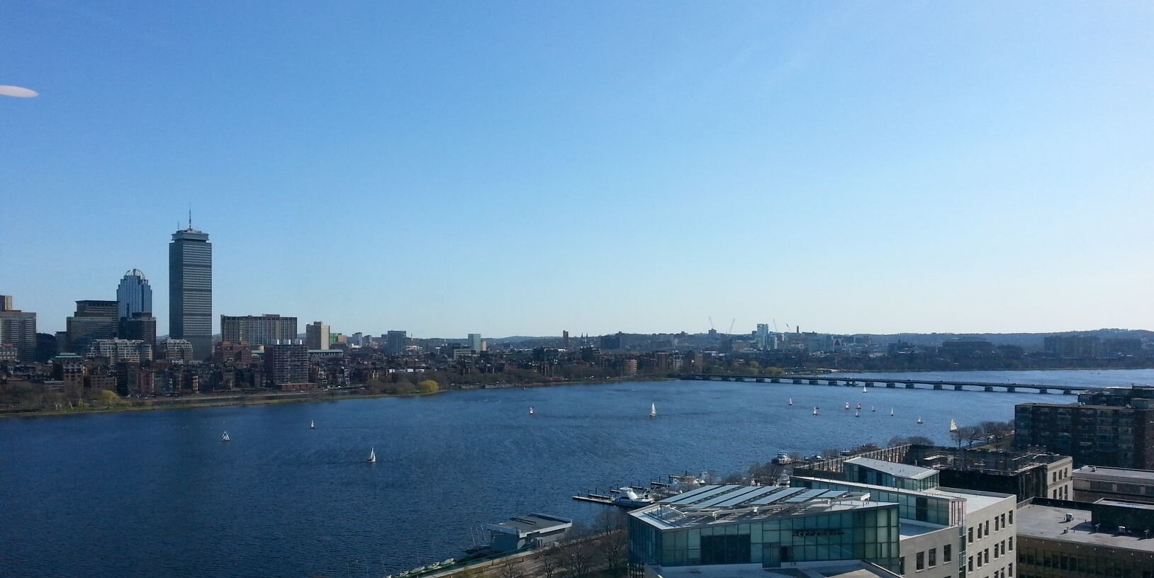 Christina Toro banner