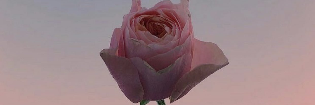 bernsahin's profile banner image